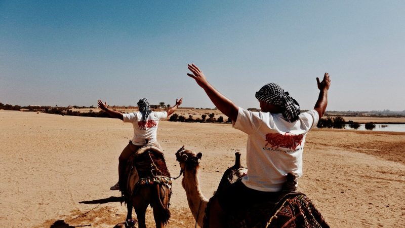 Men riding camels in the expansive Oasi del Fayyum desert, Egypt.