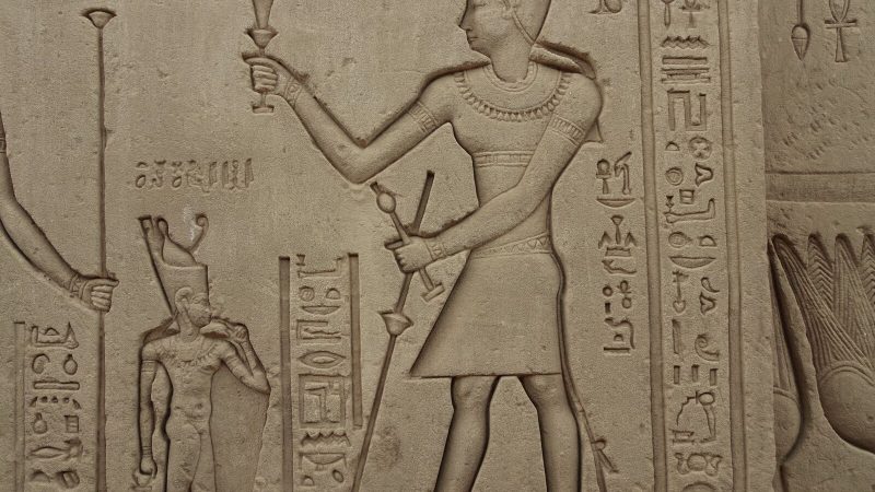 Close-up of detailed hieroglyphs and carvings on an ancient Egyptian temple wall, depicting historical symbols.