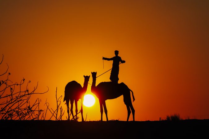Camel caravan silhouette in Dubai desert sunset