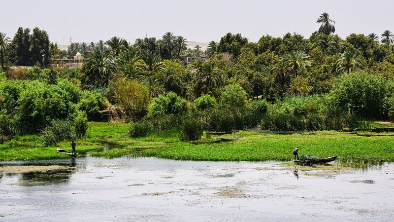 Lush vegetation alongside the Nile with traditional boats on a sunny day.