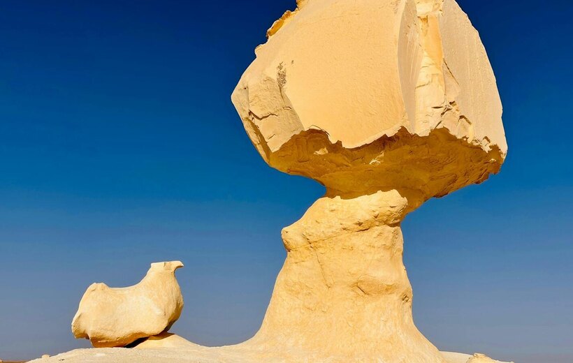 Western Desert Oases — 5 Days