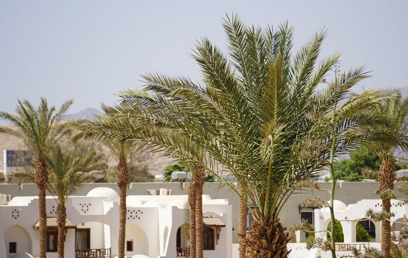 Grandeur of Sokar — Cairo, Oases & Nile Cruise 14 Days