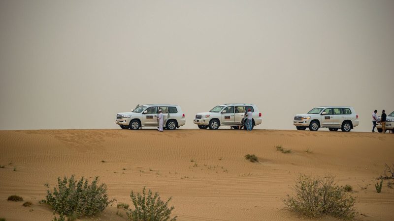 White SUVs on a thrilling desert safari in Dubai's sandy landscape, United Arab Emirates.